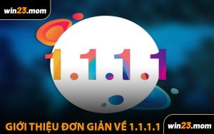 Giới Thiệu Đơn Giản Về 1.1.1.1