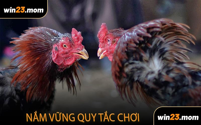 Nắm vững quy tắc chơi