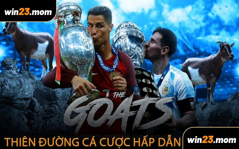 Thiên Đường Cá Cược Hấp Dẫn Dành Cho Tín Đồ Thể Thao